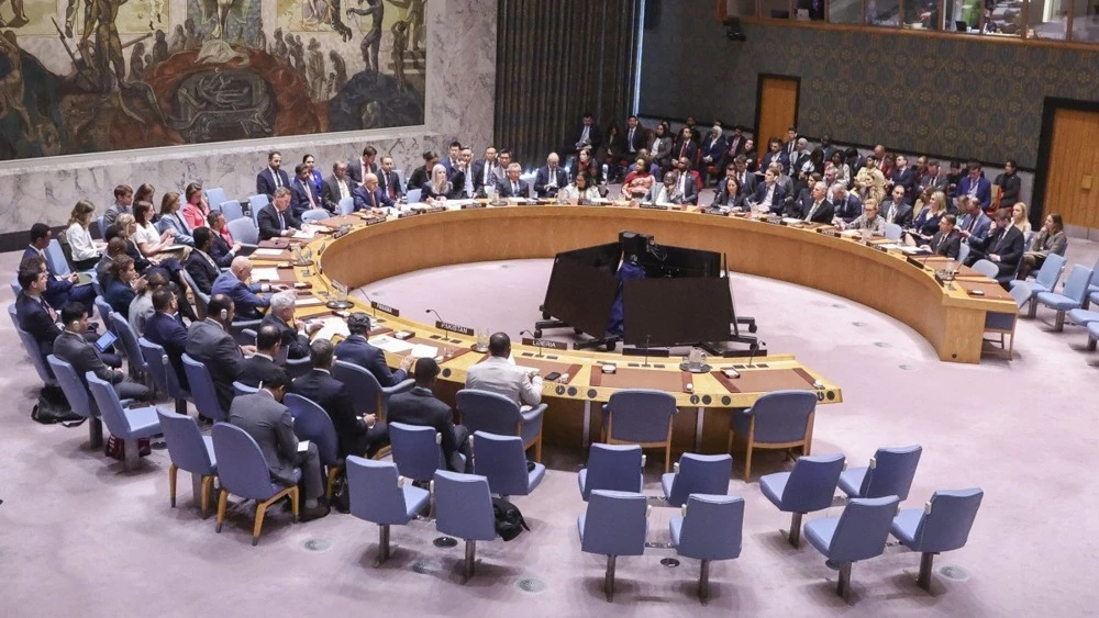 Засідання Ради Безпеки ООН та цивільне вантажне судно в Чорному морі