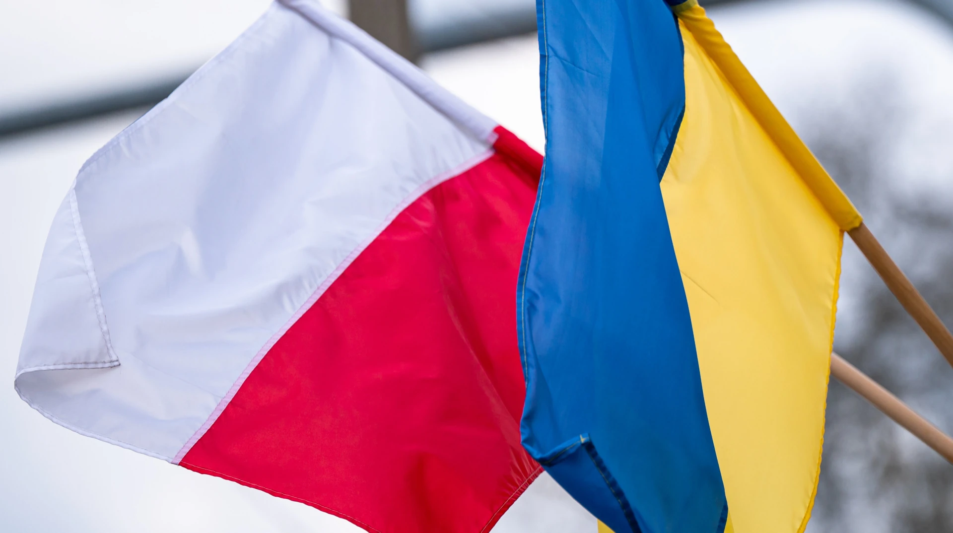 Український інститут національної пам’яті повідомив про початок досліджень на старому Голосківському