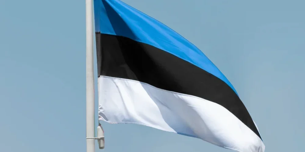 Додаткові кошти Естонії підуть на ППО та боєприпаси для України
